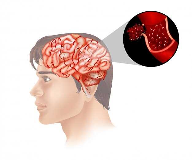 Питание, способствующее улучшению кровотока в головном мозге